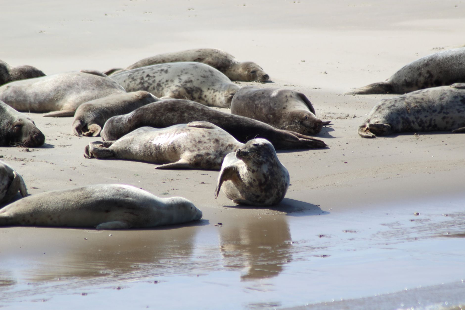 La baie de Somme : le week-end qu'on devrait toutes s'offrir