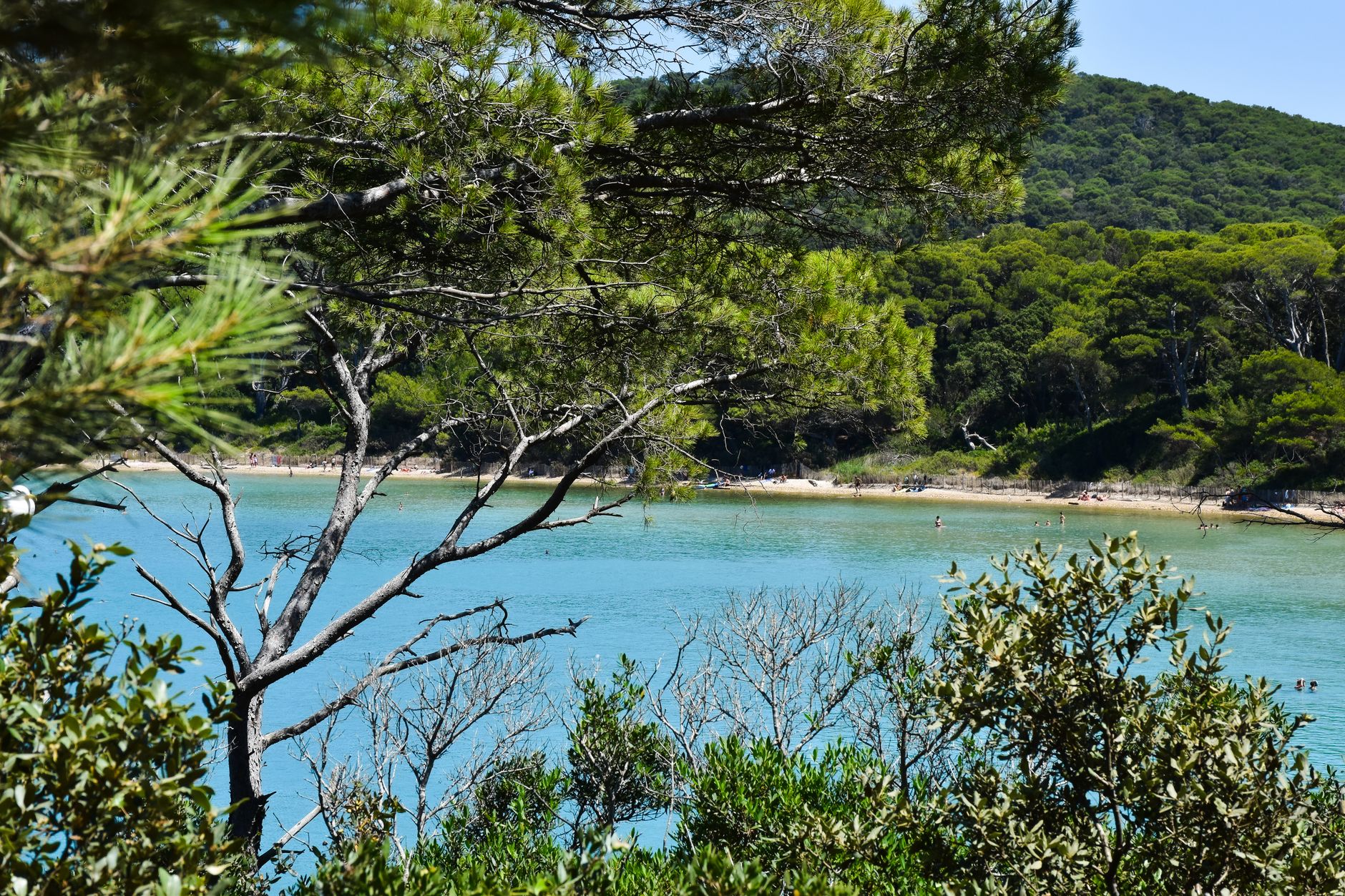 Porquerolles : l'île qu'on traverse à pied en une journée